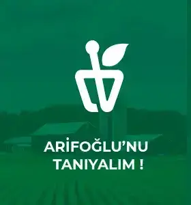 Arifoğlu Tanıyalım