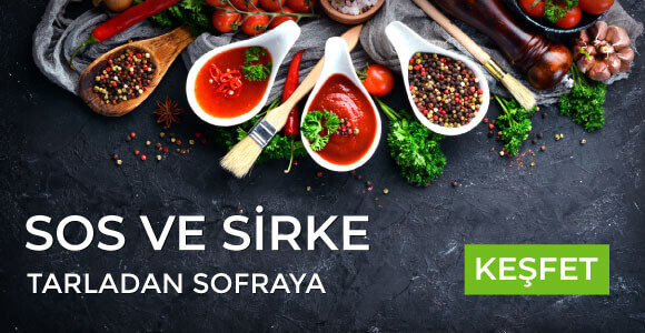 SİRKE