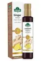 Ginger Extract 250 Ml (Zingiber Officinale) - 2