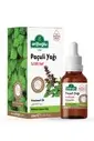 Patchouli Oil 10 Ml - 1