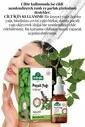Patchouli Oil 10 Ml - 4