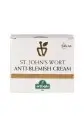 Sarı Kantaron Leke Karşıtı Krem - 50ml - St. John's Wort Anti-Blemish Cream - 3